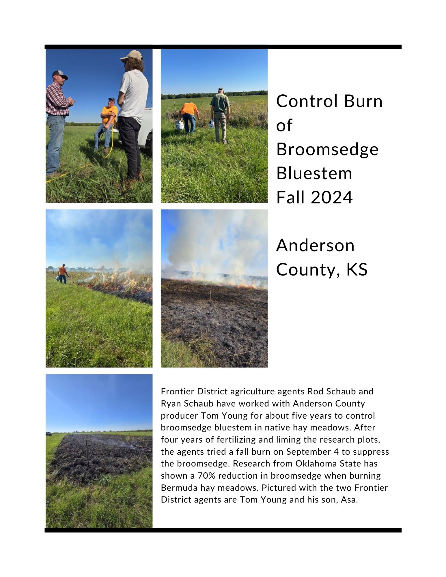 Broomsedge Bluestem Fall Burn